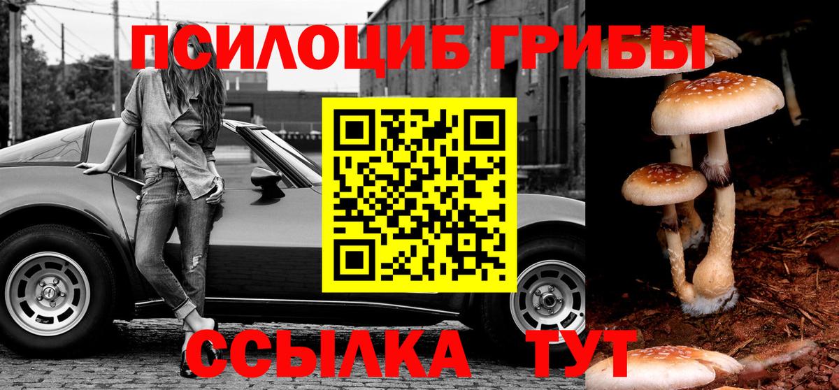 Галлюциногенные грибы Magic Shrooms Новосибирск